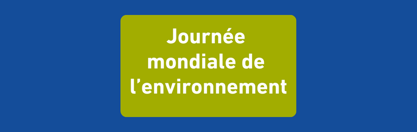  journee_mondiale_de_lenvironnement.