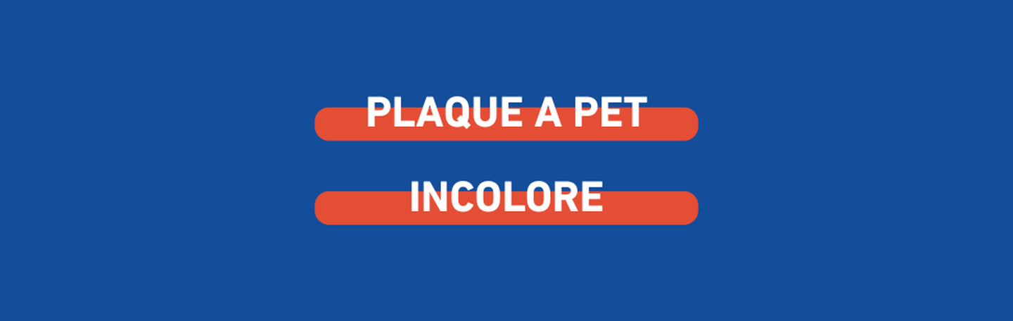 a pet