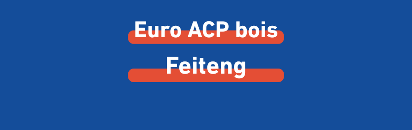 acp-bois-feiteng