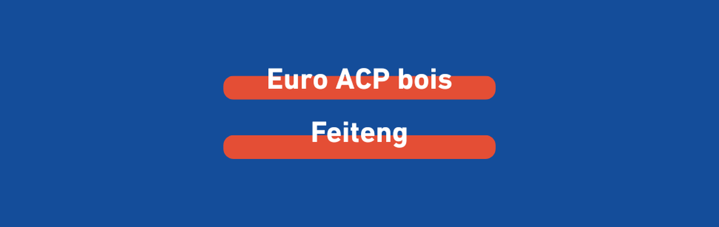 euro-acp-bois-feiteng