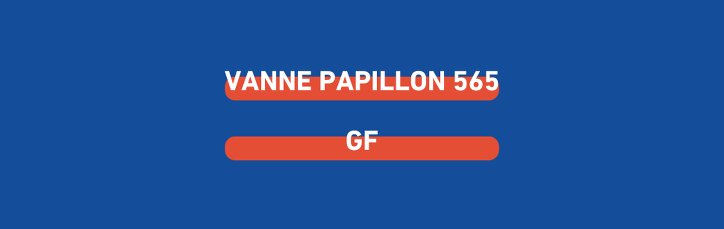 vanne-papillon-gf.