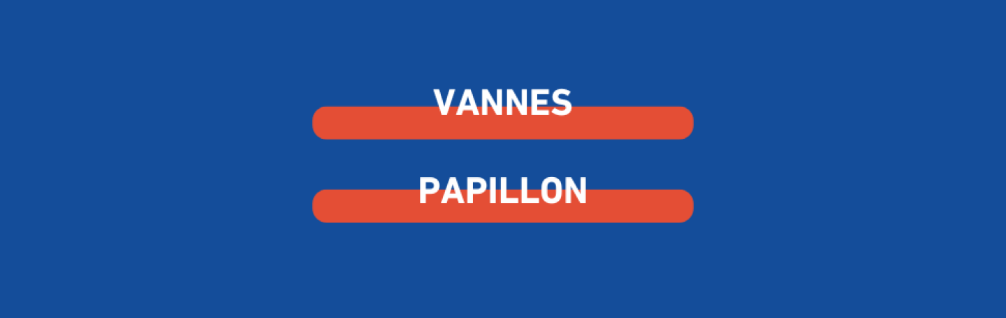 vannes-papillon