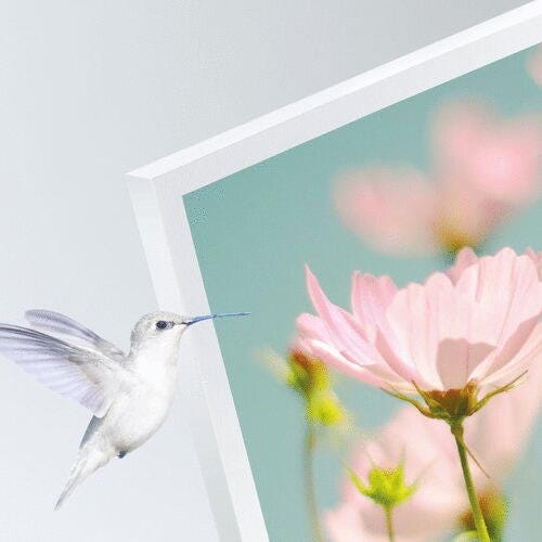 PLAQUE SIMOPOR SP DIG BLC FILM1F  4X3050X2050