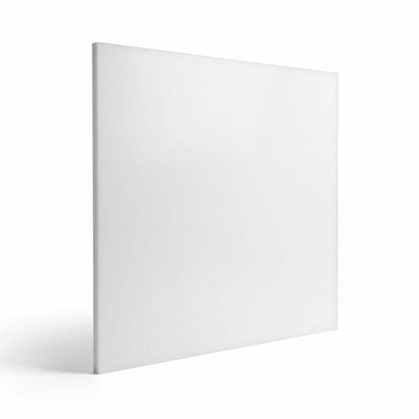 FORMAT PTFE VIERGE NAT 600X600           EP.2