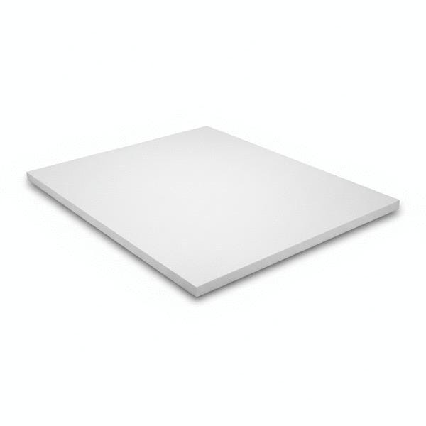 PLAQUE TROVICEL 200 BLANC        13X3000X1250 ROCHLING INDUSTRIAL MAXEVILLE