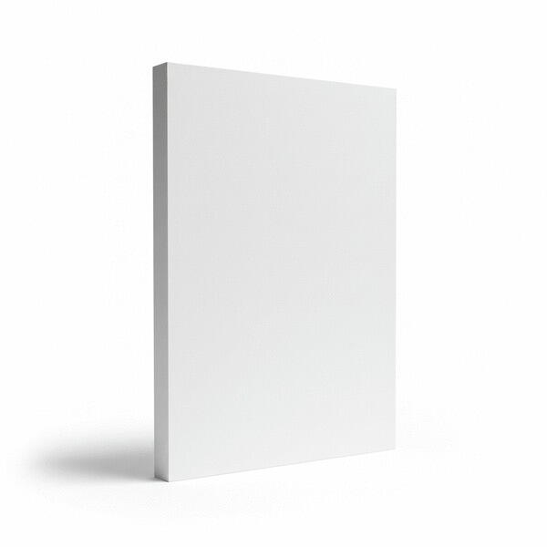 PLAQUE FOAMALUX PREMIUM BLANC     3X2440X1220