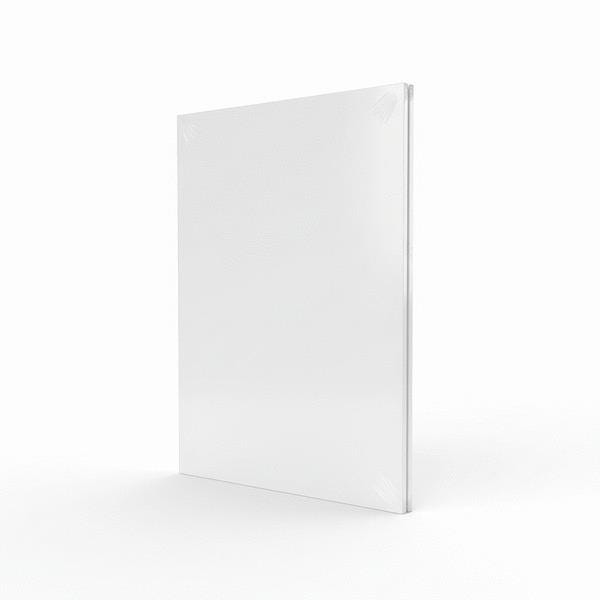 PLAQUE IMPRESS BLANC FILME 2F     5X2440X1220 EX-CEL  [5X2440X1220]
