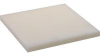 PLAQUE PA6 NATUREL COULE         12X2500X1250