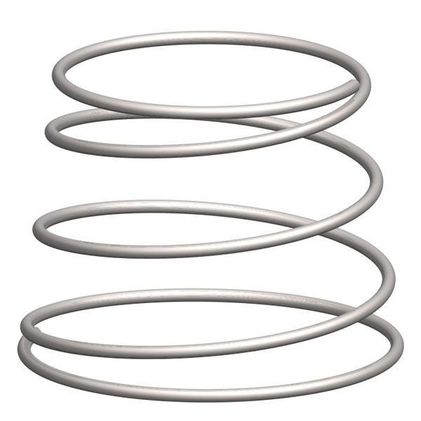 RESSORT CLAPET 562 V2A HALAR DN40   161485145