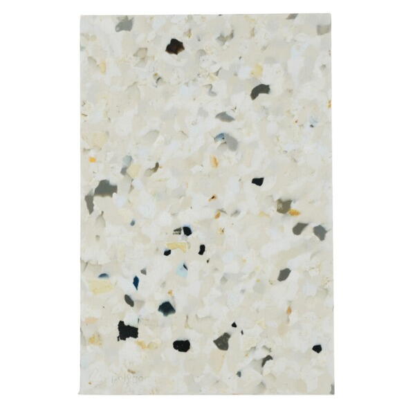 PLAQUE POLYGOOD TERRAZZO NUO     12X2800X1400