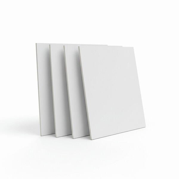 PLAQUE RICHBOARD BLANC           16X2030X3050