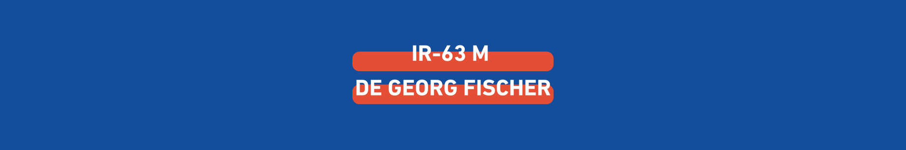 GEROG FISCHER