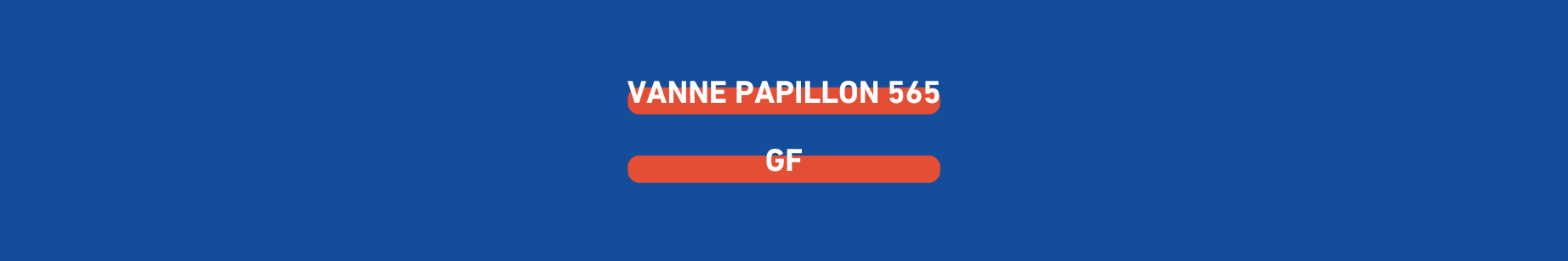 vanne-papillon-gf.