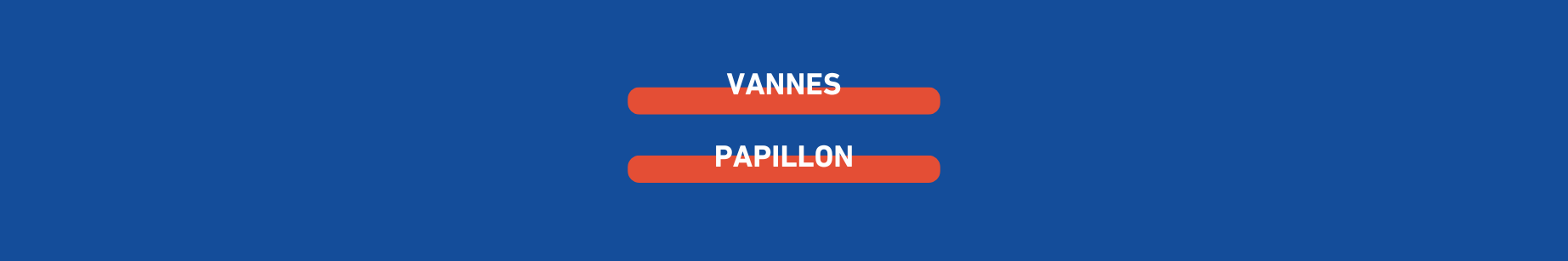 vannes-papillon