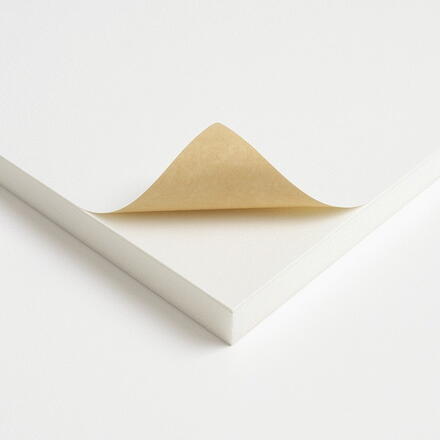 755420 CARTON PLUME ADHESIF 500X650X5 CARP5AD