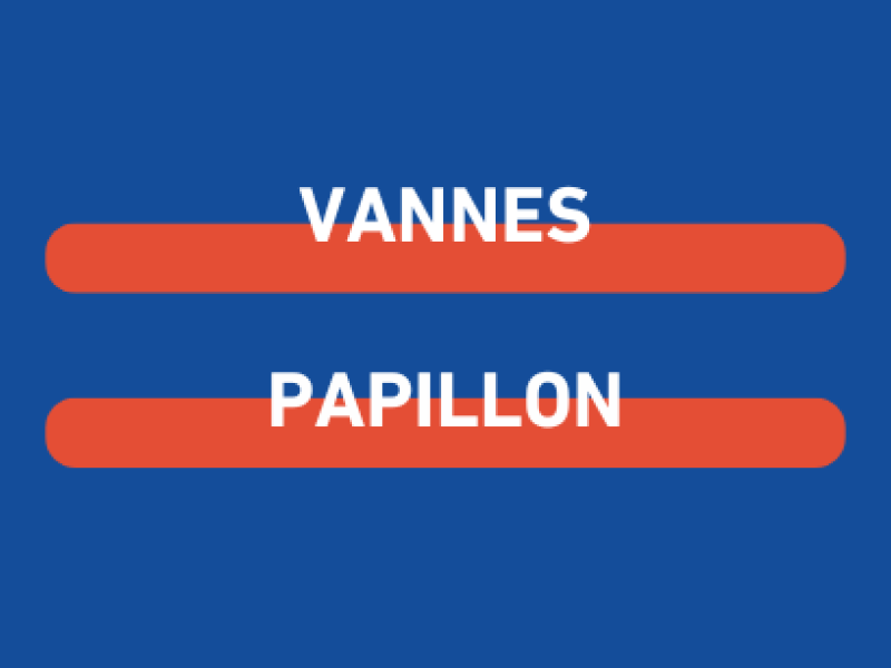 vannes-papillon